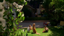 Filename=vlcsnap-00012~15.png
Filesize=676KiB
Dimensions=853x480
Date added=Nov 19, 2017 vlcsnap-00012~15.png