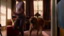 Filename=vlcsnap-00215~14.png
Filesize=573KiB
Dimensions=853x480
Date added=Nov 19, 2017 vlcsnap-00215~14.png