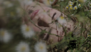 vlcsnap-2016-12-31-13h29m34s910.png