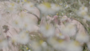 vlcsnap-2016-12-31-13h29m35s451.png
