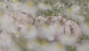 vlcsnap-2016-12-31-13h31m30s962.png
