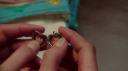 vlcsnap-2017-01-27-12h34m33s212.png