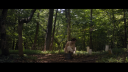 vlcsnap-2017-04-19-14h42m34s550.png