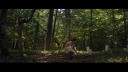 vlcsnap-2017-04-19-14h42m34s751.png