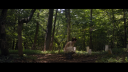 vlcsnap-2017-04-19-14h42m35s031.png