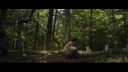 vlcsnap-2017-04-19-14h42m35s316.png