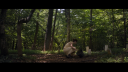 vlcsnap-2017-04-19-14h42m35s626.png