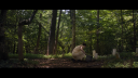 vlcsnap-2017-04-19-14h42m36s185.png