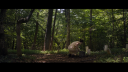 vlcsnap-2017-04-19-14h42m36s421.png