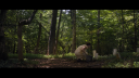 vlcsnap-2017-04-19-14h42m36s674.png