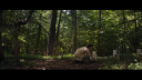 vlcsnap-2017-04-19-14h42m41s896.png