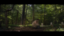 vlcsnap-2017-04-19-14h42m43s688.png