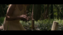 vlcsnap-2017-04-19-14h42m48s789.png