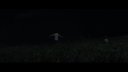 vlcsnap-2017-04-20-15h09m17s623.png